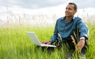 MFA Creative Writing