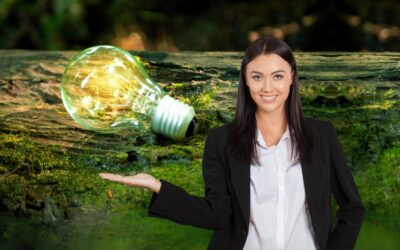 Requirements: BA Sustainability Studies