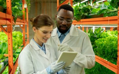 Minor Requirements: Environmental Science