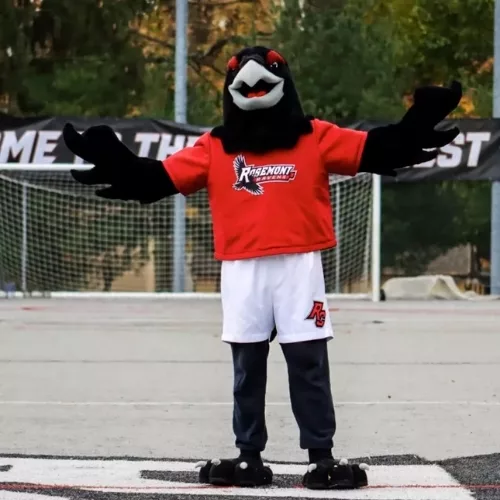 Renny The Raven is part of why Rosemont College is a Forbes rated best online college, and a best Main Line college.