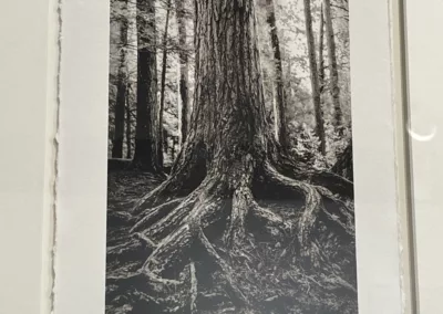 Pencil drawing from the alumni exhibit 2025 in the Patricia M. Nugent Gallery to represent how Rosemont College is a Forbes rated best online college, and a best Main Line college.