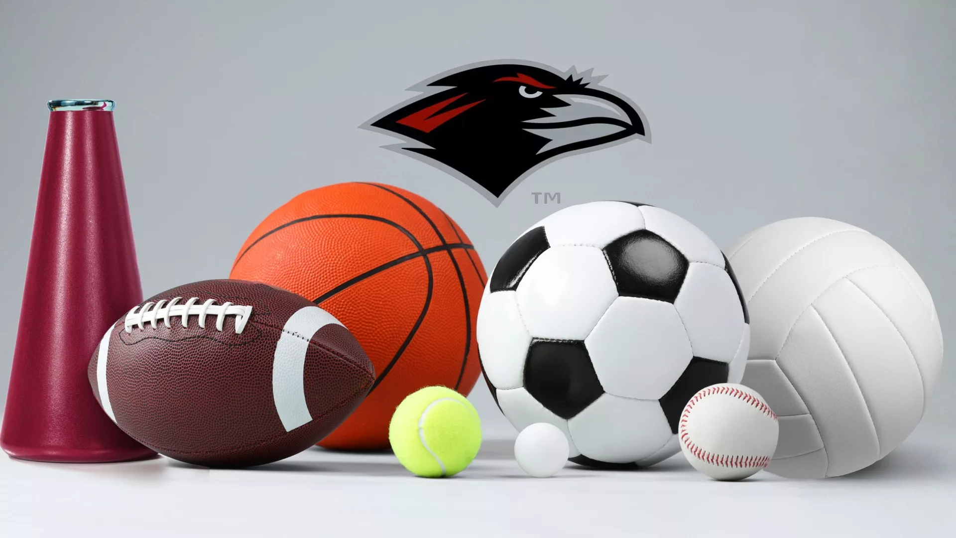 The Rosemont Raven logo above a collection of sports equipment to represent how co ed intramural sports are part of why Rosemont College is a Forbes rated best online college, and a best Main Line college.