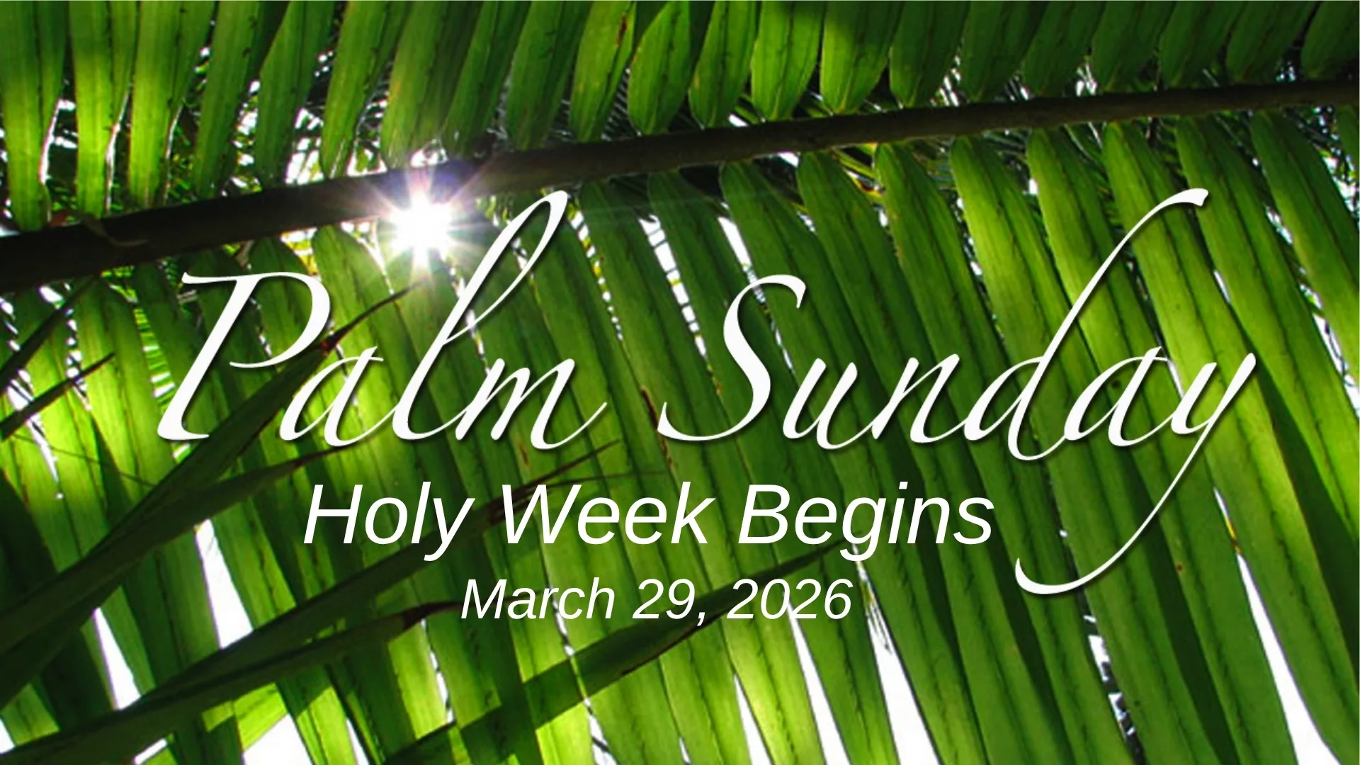 Close up of a palm branch with text overlaid that reads Palm Sunday Holy Week Begins March 29, 2026 to represent how Campus Ministry is a part of why Rosemont College is a Forbes rated best online college, and a best Main Line college.